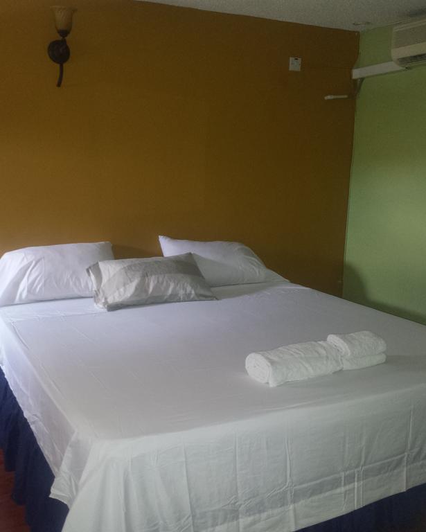 Impeccable Guest Rooms 2 كينغستون المظهر الخارجي الصورة