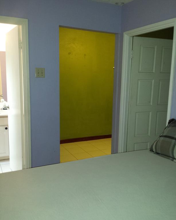 Impeccable Guest Rooms 2 كينغستون الغرفة الصورة